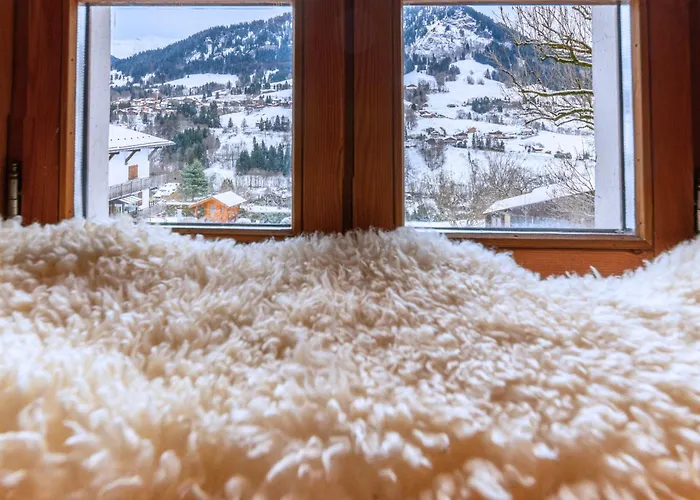 2 Spacieux Appartements Dans Une Ferme Renovee Face Au Montblanc